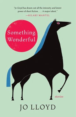 Something Wonderful (eBook, ePUB) - Lloyd, Jo