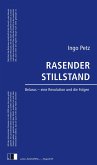 Rasender Stillstand (eBook, ePUB)