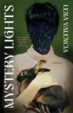 Mystery Lights (eBook, ePUB)