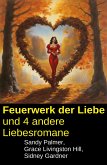 Feuerwerk der Liebe und 4 andere Liebesromane (eBook, ePUB)