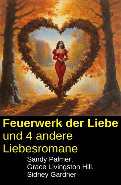 Cover Feuerwerk der Liebe und 4 andere Liebesromane (eBook, ePUB)