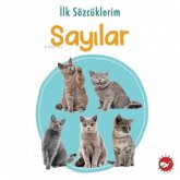 Ilk Sözcüklerim - Sayilar