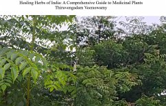 Healing Herbs of India: A Comprehensive Guide to Medicinal Plants (eBook, ePUB) - Veeraswamy, Thiruvengadam