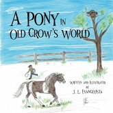 A Pony in Old Crow's World