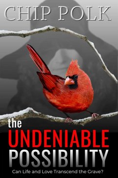 Cover The Undeniable Possibility (eBook, ePUB)