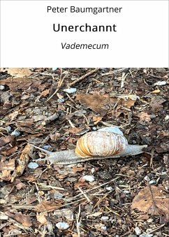 Unerchannt (eBook, ePUB) - Baumgartner, Peter