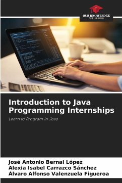 Cover Introduction to Java Programming Internships