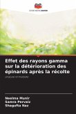 Effet des rayons gamma sur la détérioration des épinards après la récolte