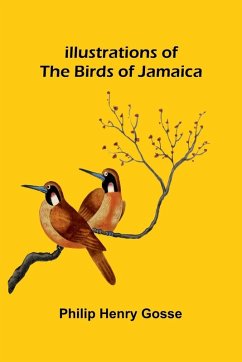 Cover Illustrations Of The Birds Of Jamaica