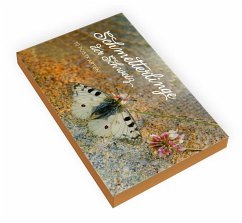Cover Postkartenset Schmetterlinge der Schweiz