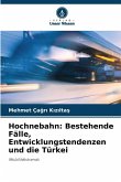 Hochnebahn: Bestehende Fälle, Entwicklungstendenzen und die Türkei
