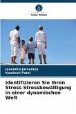 Identifizieren Sie Ihren Stress Stressbewältigung in einer dynamischen Welt