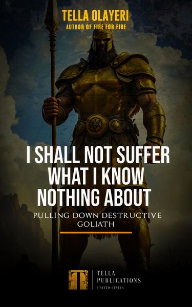 I Shall Not Suffer What I Know Nothing About (eBook, ePUB)