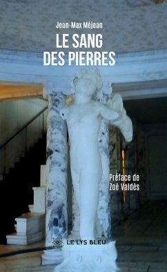 Cover Le sang des pierres (eBook, ePUB)