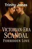 Victorian-Era Scandal - Forbidden Love (Love in the Big Apple, #23) (eBook, ePUB)