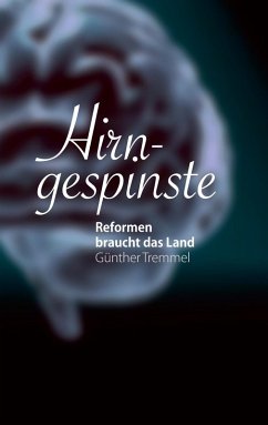 Hirngespinste (eBook, ePUB)
