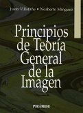 Principios de teoría general de la imagen (eBook, PDF)