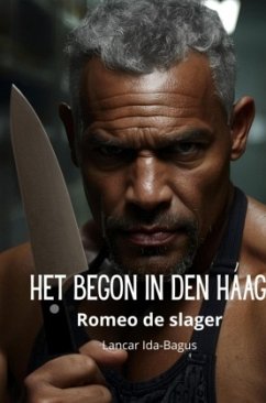 Cover Het begon in Den Haag