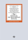 Manual de Seguridad Social (eBook, ePUB)