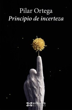 Cover Principio de incerteza (eBook, ePUB)