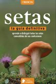 Setas (eBook, ePUB)