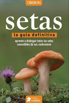 Setas (eBook, ePUB) - Calvo Pérez, Aitor; Calvo Pérez, Javier; Román Echevarría, Juan Andrés; Ibarretxe Iragorri, Ricardo