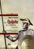 Don Quijote de la Mancha (Selección) (eBook, ePUB)