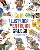 Guía ilustrada do Entroido Galego (eBook, ePUB)
