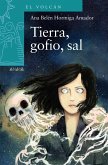 Tierra, gofio, sal (eBook, ePUB)