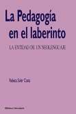 La Pedagogía en el laberinto (eBook, ePUB)