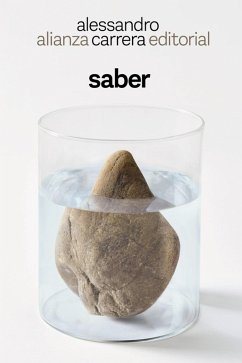 Cover Saber (eBook, ePUB)