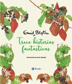 Enid Blyton. Trece historias fantásticas (eBook, ePUB)