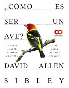 Cover ¿Cómo es ser un ave? De volar a anidar, de comer a cantar... ¿Qué hacen las aves y por qué? (eBook, PDF)
