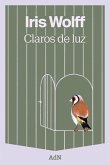 Claros de luz (eBook, ePUB)