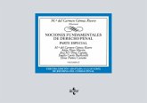 Nociones fundamentales de Derecho Penal (eBook, ePUB)
