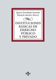 Instituciones básicas de Derecho público y privado (eBook, ePUB)
