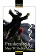 Frankenstein (eBook, ePUB) - Bild 1