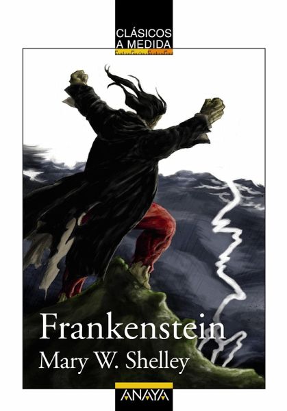 Frankenstein (eBook, ePUB)