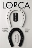 El público. El sueño de la vida (eBook, ePUB)