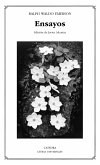 Ensayos (eBook, ePUB)
