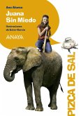 Juana Sin Miedo (eBook, ePUB)