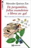 De pergamiños, follas voandeiras e libros ao .gal (eBook, ePUB)