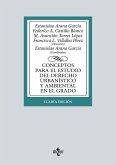 Conceptos para el estudio del Derecho urbanístico y ambiental en el grado (eBook, ePUB)