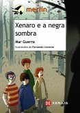 Xenaro e a negra sombra (eBook, ePUB)