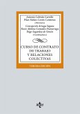 Curso de contrato de trabajo y relaciones colectivas (eBook, ePUB) Curso de contrato de trabajo y relaciones colectivas (eBook, ePUB)