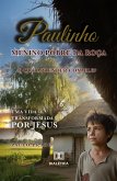 Paulinho (eBook, ePUB)