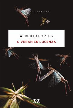 O verán en Lucenza (eBook, ePUB) - Fortes, Alberto