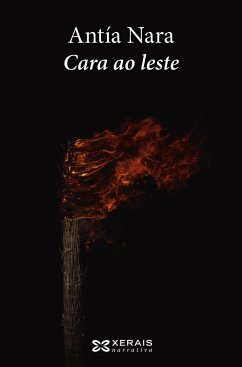 Cover Cara ao leste (eBook, ePUB)