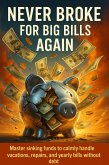Never Broke for Big Bills Again (eBook, ePUB)