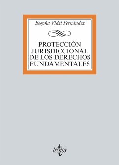 Protección jurisdiccional de los Derechos Fundamentales (eBook, ePUB) - Vidal Fernández, Begoña